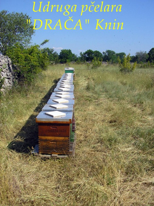 UP_Draca_Knin (19)